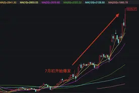 风电的崛起——又一个新能源爆发了图片