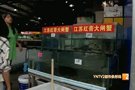 金黄流油的中秋大闸蟹热销！蟹卡套路多！究竟应该注意些啥？图片