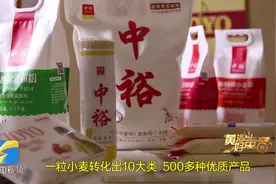 黄河好声音｜一棵小麦成为挂面的追梦路图片