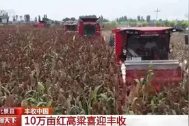 沙漠变良田 内蒙古科尔沁万亩沙漠粮食开镰迎丰收图片