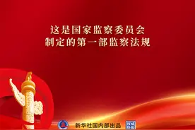 推进监察工作规范化法治化正规化——详解《中华人民共和国监察法实施条例》图片