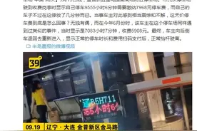 9555小时6分钟收费7968元？大连一停车场现天价停车费 车主：在同一个停车场“中奖”两次图片