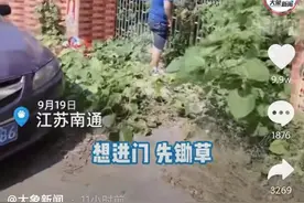 江苏一家人离家半年，中秋回家院子长满藤蔓还结瓜！网友：菜都给你准备好了图片