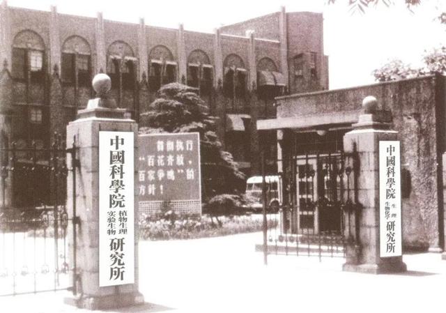 百年瞬间丨我国完成人工全合成结晶牛胰岛素