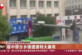 辽宁自西向东迎来强降雨——绥中部分乡镇遭遇特大暴雨视频封面