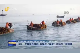 新动能 新突破丨山东：发展绿色金融 为实现“双碳”目标按下“加速键”图片