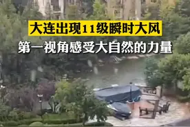 大连出现11级瞬时大风，海边大风吹起千层浪，第一视角感受大自然的力量视频封面