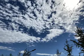 中秋佳节，天朗气清，万类霜天竞自由图片