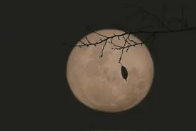美美的月亮怎么拍出来？图片