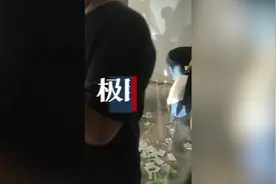 上海近百个“宠物盲盒”被遗弃路边，市民凌晨冒雨领养图片