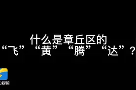 「山东黄河调研行」济南市章丘区：做好“飞”“黄”“腾”“达”四篇文章 融入“黄河大合唱”图片