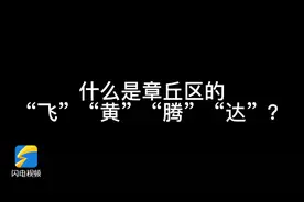 「山东黄河调研行」济南市章丘区：做好“飞”“黄”“腾”“达”四篇文章 融入“黄河大合唱”图片