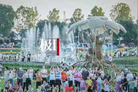 乘复古小火车畅游花海图片