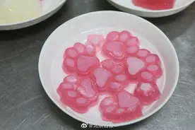 北京动物园动物们吃月饼过节，猩猩享受凉皮粉特制“冰皮月饼”图片