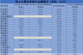 银行财眼丨恒大漩涡里的20家银行图片