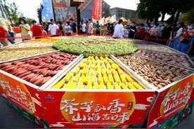 青岛即墨：乡村振兴迎丰收，欢乐共庆茶芋节图片