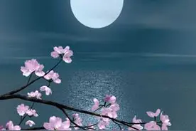 中秋团圆饭｜中秋苹果图片