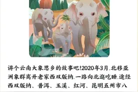 “云南象群千里回乡支付宝皮肤”领取量达26万！网友：好可爱，太喜欢啦图片