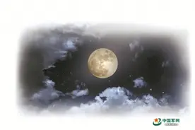 中秋节特别策划·哨兵的故事丨守护在繁华都市的夜色里图片
