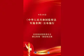 详解《中华人民共和国监察法实施条例》图片