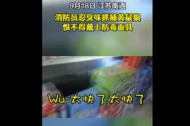 消防员超市抓黄鼠狼被臭懵 网友：隔着屏幕都有那味儿了图片