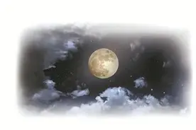 万家团圆之时，这群哨兵守护在繁华都市的夜色里图片