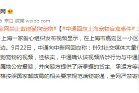 中通回应上海宠物盲盒事件：与中通网点无关图片