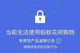 你的花呗有重大变化图片