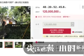 西湖边绝佳位置，“马岭山房”1.2亿起拍，曾为蔡元培之女故居图片