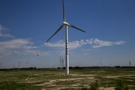 风电下乡驱动需求超预期，概念股狂掀涨停潮丨一大板块视频封面