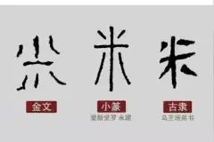 稻米小课堂（四）丨你知道稻作文明的起源地在长江，但肯定不知道“米”字的由来图片