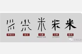 稻米小课堂（四）丨你知道稻作文明的起源地在长江，但肯定不知道“米”字的由来图片