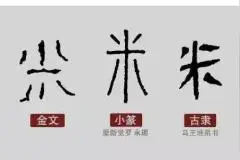 稻米小课堂（四）丨你知道稻作文明的起源地在长江，但肯定不知道“米”字的由来图片