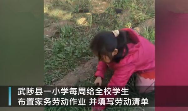 这所小学的“特殊作业”火了!家长们全体炸锅:求求老师,多留点这样的作业吧