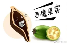 食用槟榔还有什么危害？图片