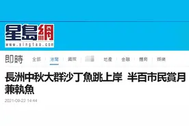 港媒：香港长洲中秋夜数千沙丁鱼跳上岸，不少市民赏月+抓鱼图片