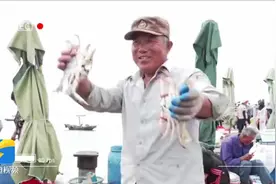 渔业大丰收！海鲜大餐成餐桌主角图片
