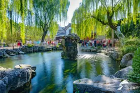 好客山东欢迎您！来看山东16市交出的文旅成绩单图片