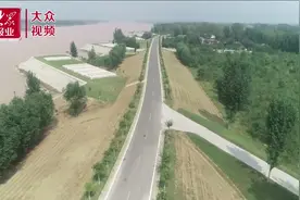 视频丨黄河滩里栽植猕猴桃，群众走上致富路图片