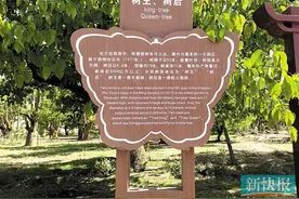 “十一”长假 在别处拍摄你的秋装大片（1）图片
