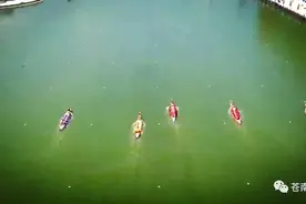 苍南龙舟队亮相全运会 首战告捷夺得龙舟赛500米冠军图片