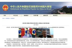 巴西水果出口商协会主席：巴业界看好中国经济前景和消费市场机遇图片