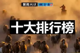 光伏十大排行榜图片