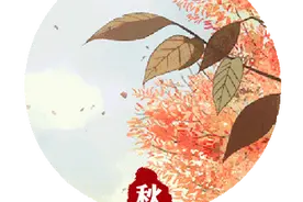 秋分到，这些“白色美食”专治你的秋燥之症图片