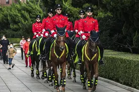 辽宁大连：巡逻警察支队骑警大队进行例行巡逻图片