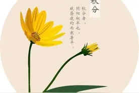 今日秋分！昼夜均长，秋色平分，丰收又一年图片