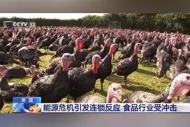 英国能源危机引发一系列连锁反应 食品行业广受冲击图片