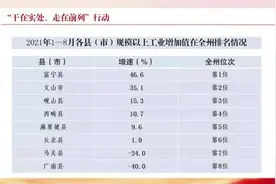科普文山丨水中“活化石”——中华秋沙鸭图片