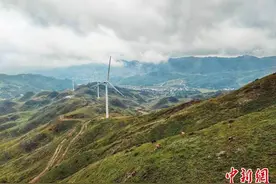 “中国核桃之乡”深度触“网”谋振兴图片