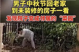 安徽男子几年没回老家，发现自家院子成了邻居的“菜园”，网友分享同款经历图片